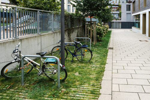 DSCF0384.jpg