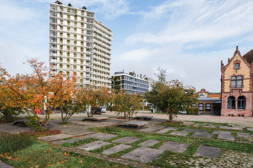 DSCF1572-Verbessert-RD.jpg