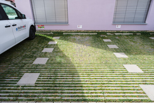 DSCF1668.jpg