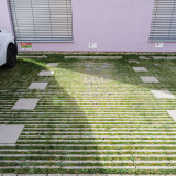 DSCF1668