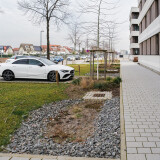 DSCF2767