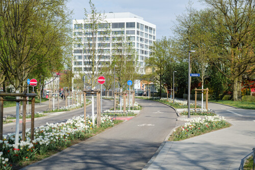 DSCF3199-Verbessert-RD-2.jpg