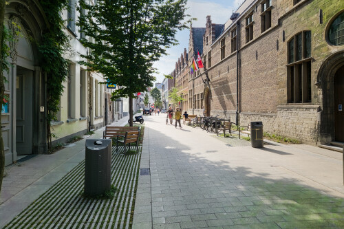 20250627_181149.jpg