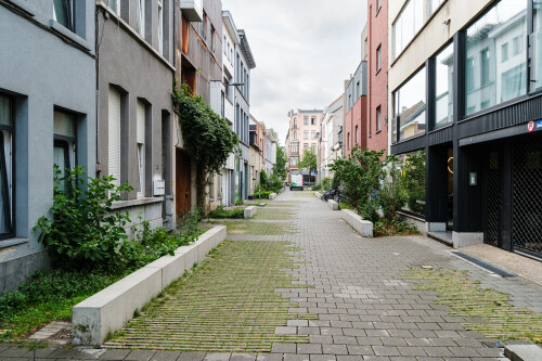 DSCF6883.jpg