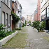 DSCF6883