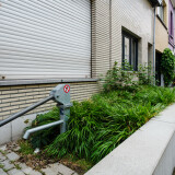 DSCF6891