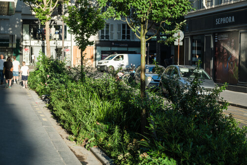 DSCF6050.jpg