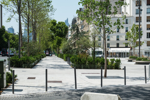 DSCF6345.jpg