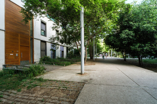 DSCF6505.jpg