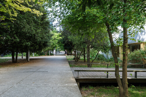 DSCF6514.jpg