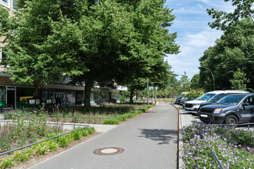 DSCF7316.jpg