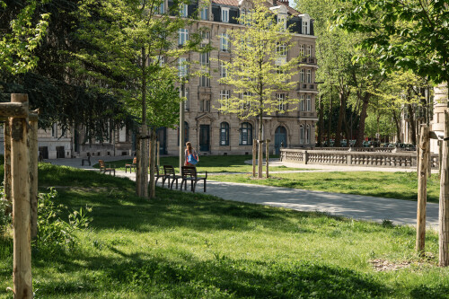 P1034760.jpg