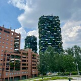 IMG_4941
