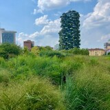 IMG_4944